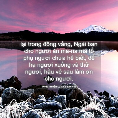Picture 05 - Phục Truyền Luật Lệ 8:16 VIE - lại trong đồng vắng, Ngài ban cho ngươi - Bible Verse Picture