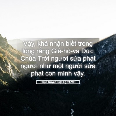 Picture 05 - Phục Truyền Luật Lệ 8:5 VIE - Vậy, khá nhận biết trong lòng rằng - Bible Verse Picture