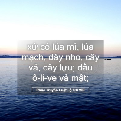 Picture 05 - Phục Truyền Luật Lệ 8:8 VIE - xứ có lúa mì, lúa mạch, dây nho, cây - Bible Verse Picture