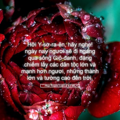 Picture 05 - Phục Truyền Luật Lệ 9:1 VIE - Hỡi Y-sơ-ra-ên, hãy nghe! ngày nay ngươi - Bible Verse Picture
