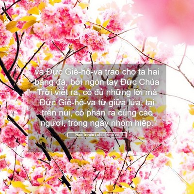 Picture 05 - Phục Truyền Luật Lệ 9:10 VIE - và Đức Giê-hô-va trao cho ta hai bảng - Bible Verse Picture