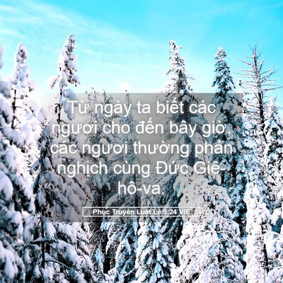 Picture 05 - Phục Truyền Luật Lệ 9:24 VIE - Từ ngày ta biết các ngươi cho đến bây - Bible Verse Picture