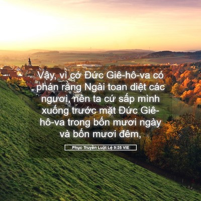 Picture 05 - Phục Truyền Luật Lệ 9:25 VIE - Vậy, vì cớ Đức Giê-hô-va có phán - Bible Verse Picture