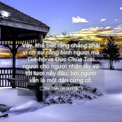 Picture 05 - Phục Truyền Luật Lệ 9:6 VIE - Vậy, khá biết rằng chẳng phải vì cớ - Bible Verse Picture
