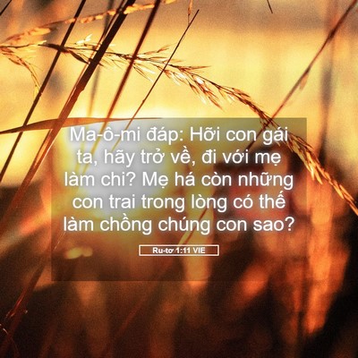 Picture 05 - Ru-tơ 1:11 VIE - Ma-ô-mi đáp: Hỡi con gái ta, hãy trở - Bible Verse Picture
