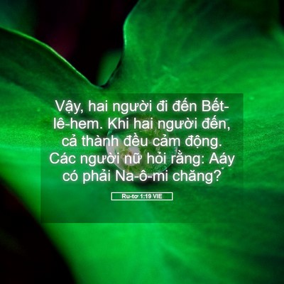 Picture 05 - Ru-tơ 1:19 VIE - Vậy, hai người đi đến Bết-lê-hem. Khi - Bible Verse Picture