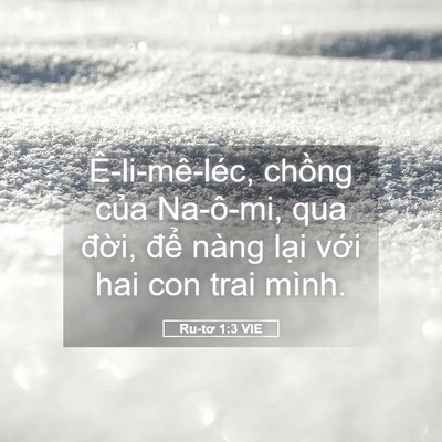 Picture 05 - Ru-tơ 1:3 VIE - Ê-li-mê-léc, chồng của Na-ô-mi, qua - Bible Verse Picture