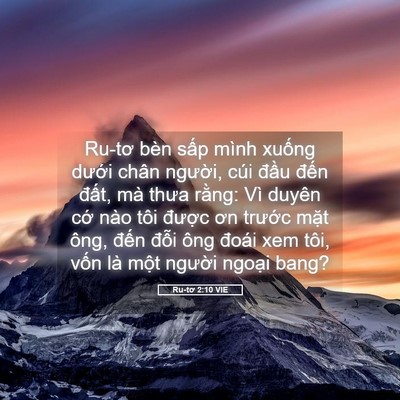 Picture 05 - Ru-tơ 2:10 VIE - Ru-tơ bèn sấp mình xuống dưới chân - Bible Verse Picture