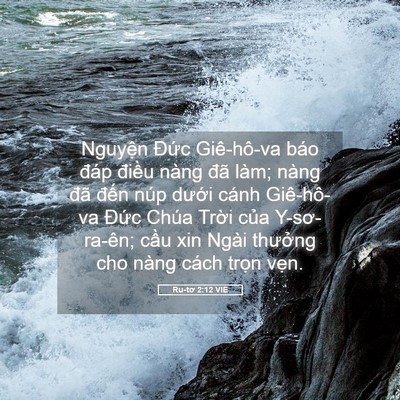 Picture 05 - Ru-tơ 2:12 VIE - Nguyện Đức Giê-hô-va báo đáp điều - Bible Verse Picture
