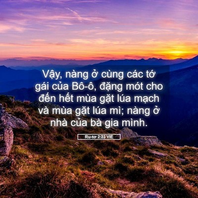 Picture 05 - Ru-tơ 2:23 VIE - Vậy, nàng ở cùng các tớ gái của - Bible Verse Picture