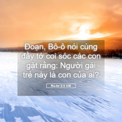 Picture 05 - Ru-tơ 2:5 VIE - Đoạn, Bô-ô nói cùng đầy tớ coi sóc - Bible Verse Picture