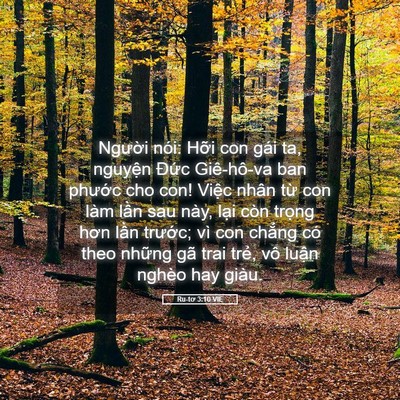 Picture 05 - Ru-tơ 3:10 VIE - Người nói: Hỡi con gái ta, nguyện Đức - Bible Verse Picture