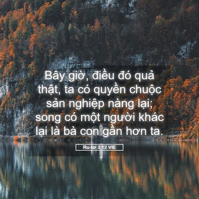Picture 05 - Ru-tơ 3:12 VIE - Bây giờ, điều đó quả thật, ta có - Bible Verse Picture