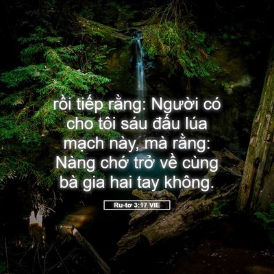 Picture 05 - Ru-tơ 3:17 VIE - rồi tiếp rằng: Người có cho tôi sáu - Bible Verse Picture