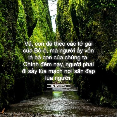 Picture 05 - Ru-tơ 3:2 VIE - Vả, con đã theo các tớ gái của Bô-ô, - Bible Verse Picture