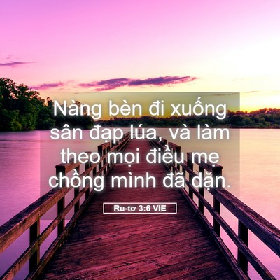 Picture 05 - Ru-tơ 3:6 VIE - Nàng bèn đi xuống sân đạp lúa, và làm - Bible Verse Picture