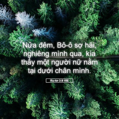 Picture 05 - Ru-tơ 3:8 VIE - Nửa đêm, Bô-ô sợ hãi, nghiêng mình - Bible Verse Picture