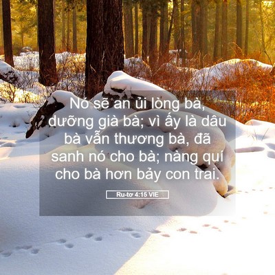 Picture 05 - Ru-tơ 4:15 VIE - Nó sẽ an ủi lòng bà, dưỡng già bà; - Bible Verse Picture