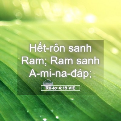 Picture 05 - Ru-tơ 4:19 VIE - Hết-rôn sanh Ram; Ram sanh - Bible Verse Picture