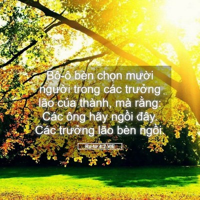 Picture 05 - Ru-tơ 4:2 VIE - Bô-ô bèn chọn mười người trong các - Bible Verse Picture