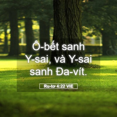 Picture 05 - Ru-tơ 4:22 VIE - Ô-bết sanh Y-sai, và Y-sai sanh - Bible Verse Picture