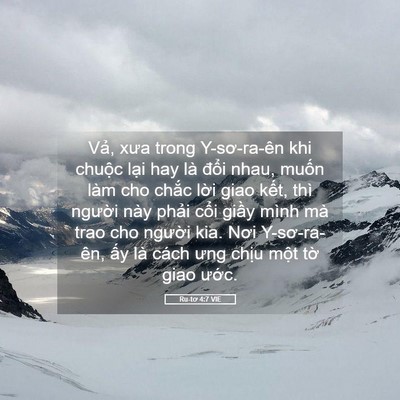 Picture 05 - Ru-tơ 4:7 VIE - Vả, xưa trong Y-sơ-ra-ên khi chuộc lại - Bible Verse Picture