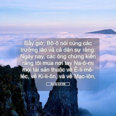 Picture 05 - Ru-tơ 4:9 VIE - Bấy giờ, Bô-ô nói cùng các trưởng - Bible Verse Picture