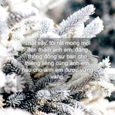 Picture 05 - Rô-ma 1:11 VIE - Thật vậy, tôi rất mong mỏi đến thăm - Bible Verse Picture