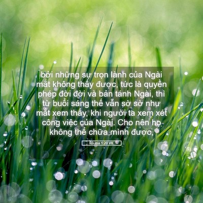 Picture 05 - Rô-ma 1:20 VIE - bởi những sự trọn lành của Ngài mắt - Bible Verse Picture