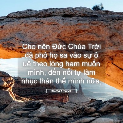 Picture 05 - Rô-ma 1:24 VIE - Cho nên Đức Chúa Trời đã phó họ sa - Bible Verse Picture