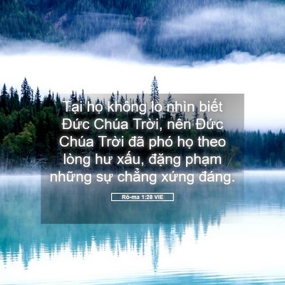 Picture 05 - Rô-ma 1:28 VIE - Tại họ không lo nhìn biết Đức Chúa - Bible Verse Picture