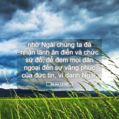 Picture 05 - Rô-ma 1:5 VIE - nhờ Ngài chúng ta đã nhận lãnh ân - Bible Verse Picture