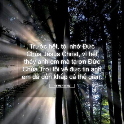 Picture 05 - Rô-ma 1:8 VIE - Trước hết, tôi nhờ Đức Chúa Jêsus - Bible Verse Picture