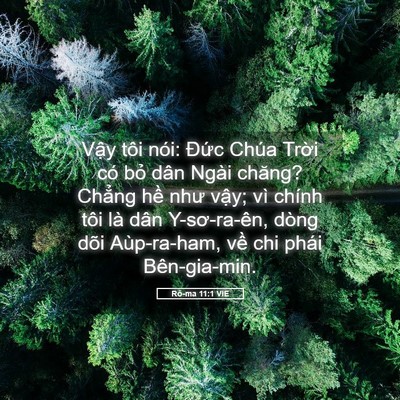 Picture 05 - Rô-ma 11:1 VIE - Vậy tôi nói: Đức Chúa Trời có bỏ - Bible Verse Picture