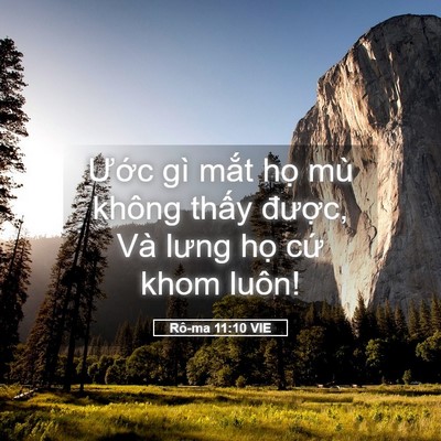 Picture 05 - Rô-ma 11:10 VIE - Ước gì mắt họ mù không thấy được, - Bible Verse Picture