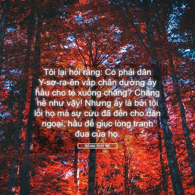 Picture 05 - Rô-ma 11:11 VIE - Tôi lại hỏi rằng: Có phải dân - Bible Verse Picture