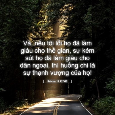 Picture 05 - Rô-ma 11:12 VIE - Vả, nếu tội lỗi họ đã làm giàu cho - Bible Verse Picture