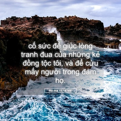 Picture 05 - Rô-ma 11:14 VIE - cố sức để giục lòng tranh đua của - Bible Verse Picture