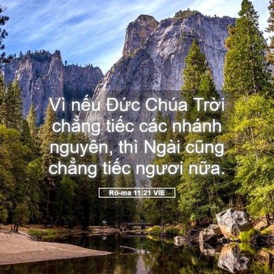Picture 05 - Rô-ma 11:21 VIE - Vì nếu Đức Chúa Trời chẳng tiếc các - Bible Verse Picture