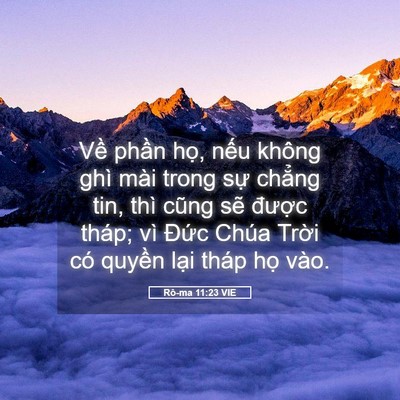 Picture 05 - Rô-ma 11:23 VIE - Về phần họ, nếu không ghì mài trong - Bible Verse Picture