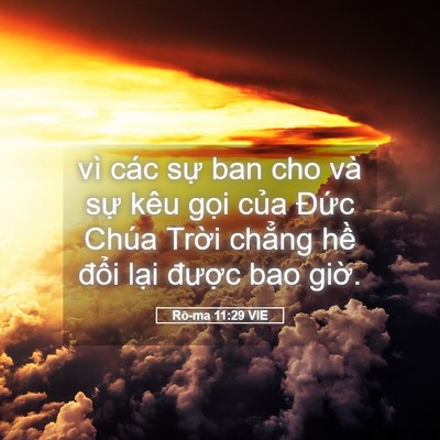 Picture 05 - Rô-ma 11:29 VIE - vì các sự ban cho và sự kêu gọi của - Bible Verse Picture