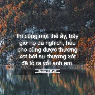 Picture 05 - Rô-ma 11:31 VIE - thì cũng một thể ấy, bây giờ họ đã - Bible Verse Picture