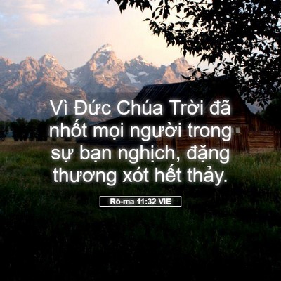 Picture 05 - Rô-ma 11:32 VIE - Vì Đức Chúa Trời đã nhốt mọi - Bible Verse Picture