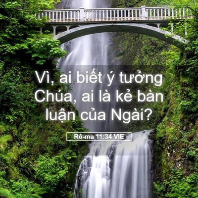 Picture 05 - Rô-ma 11:34 VIE - Vì, ai biết ý tưởng Chúa, ai là kẻ - Bible Verse Picture