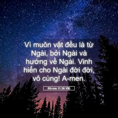 Picture 05 - Rô-ma 11:36 VIE - Vì muôn vật đều là từ Ngài, bởi - Bible Verse Picture