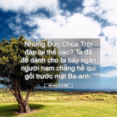 Picture 05 - Rô-ma 11:4 VIE - Nhưng Đức Chúa Trời đáp lại thể - Bible Verse Picture