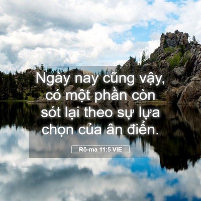 Picture 05 - Rô-ma 11:5 VIE - Ngày nay cũng vậy, có một phần còn sót - Bible Verse Picture