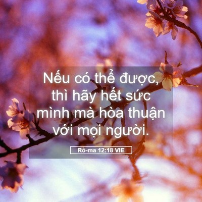 Picture 05 - Rô-ma 12:18 VIE - Nếu có thể được, thì hãy hết sức - Bible Verse Picture