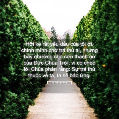 Picture 05 - Rô-ma 12:19 VIE - Hỡi kẻ rất yêu dấu của tôi ơi, - Bible Verse Picture