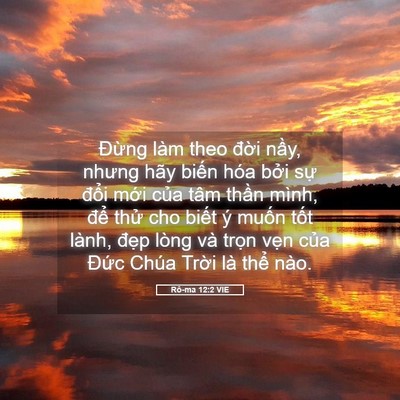 Picture 05 - Rô-ma 12:2 VIE - Đừng làm theo đời nầy, nhưng hãy - Bible Verse Picture